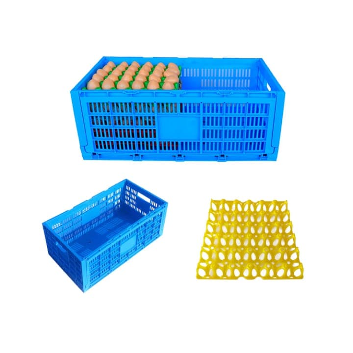 Egg Transport Crate